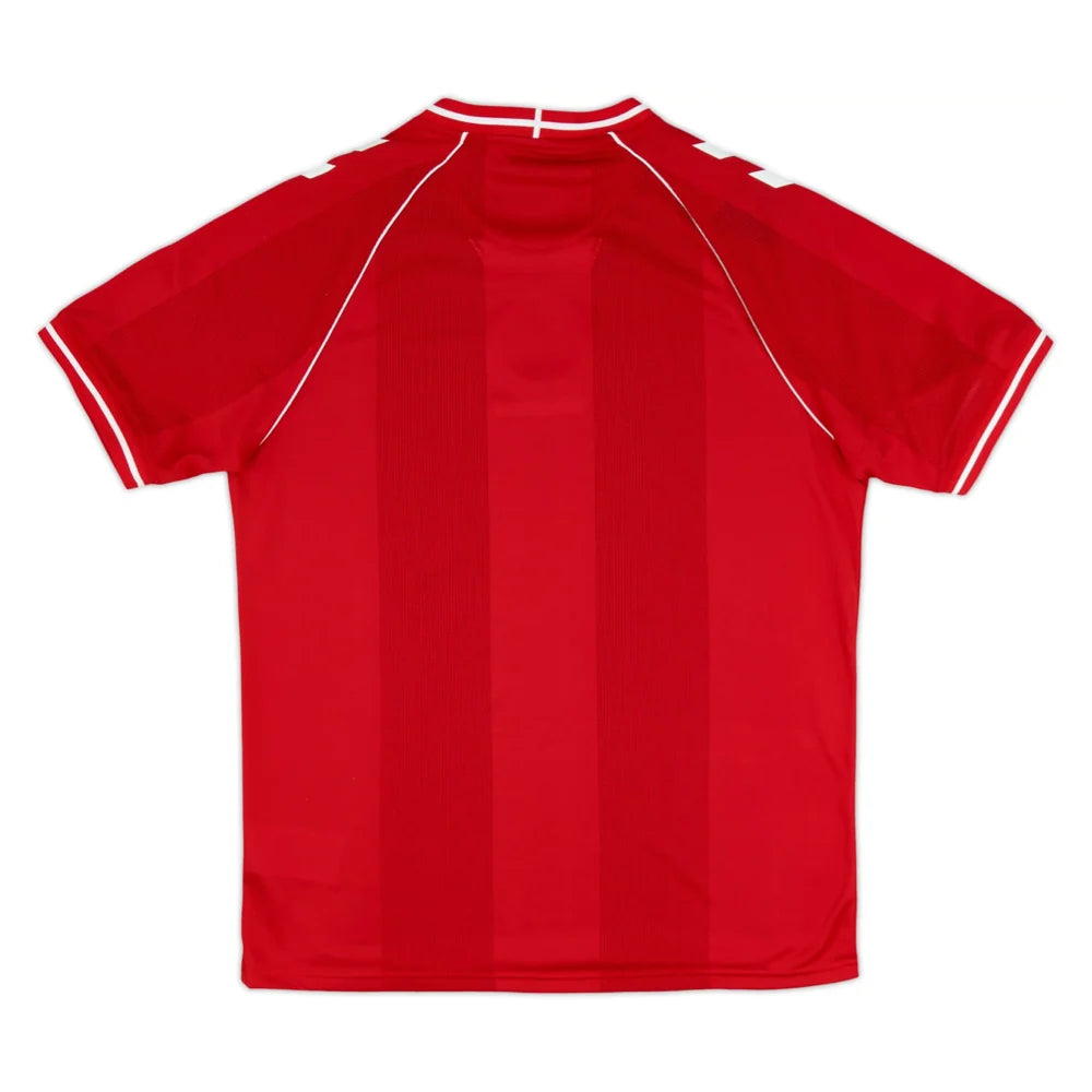 Denmark 2026 Home Shirt